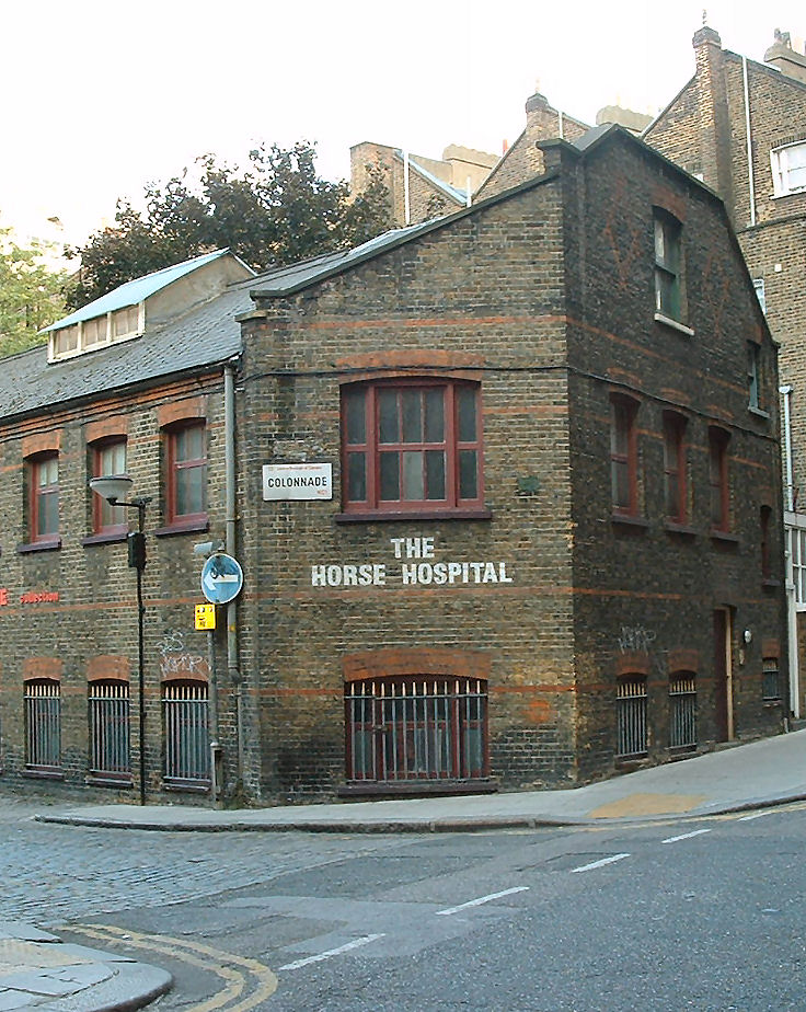 Horse Hospital